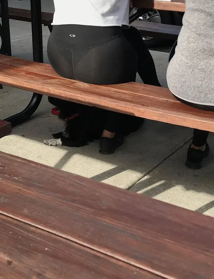 Z_HeeLappajärvi Lappajärvi Z_HeeLappajärvi